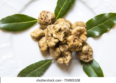 group of white truffles