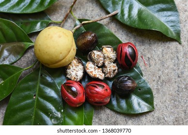 196 Nutmeg state Images, Stock Photos & Vectors | Shutterstock