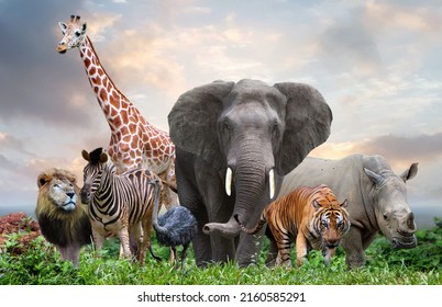 group of wildlife animals in the jungle together  - Shutterstock ID 2160585291