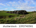 A group of windswept, dramaticly bended trees near the famous Slope Point on the South Island, New Zealand