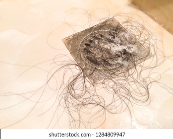 Group Of Woman Hair Fall Down On The Floor After Washing Hair After Shower. Alopecia Areata Disease, Hair Loss Or Hair Healthy Concept. Cleaning Drain Problem.