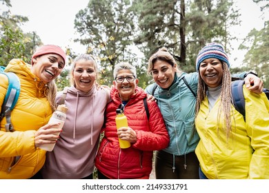 Group Of Women With Different Ages And Ethnicities Having Fun Walking In The Woods - Adventure And Travel People Concept 