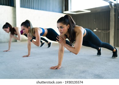 Group of women doing shoulder taps during a high-intensity interval training at the gym. Three fit caucasian women working out with a cardio routine indoors  - Shutterstock ID 1930135574