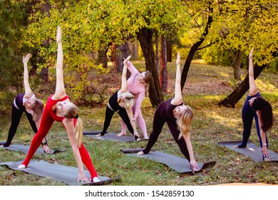 Group of women doing yoga in the autumn park on the mats
