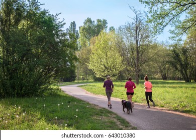 Group Of Women Jogging At Park, They Run With A Dog In The Nature