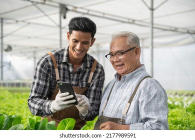 Group of worker talking about quality of organic vegetables. Hydroponics farm organic fresh harvested vegetables concept