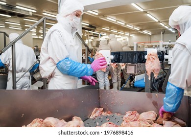 Group Of Workers Working At A Chicken Factory - Food Processing Plant Concepts.The Meat Factory. Chicken On A Conveyor Belt.