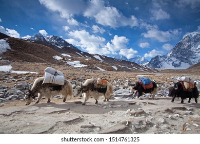 Goup Climbers Himalayas View On Peaks Stock Photo 668861161 | Shutterstock