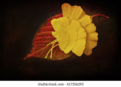 Group of yellow leafs on top of bigger red leaf