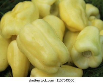  Group of yellow paprika