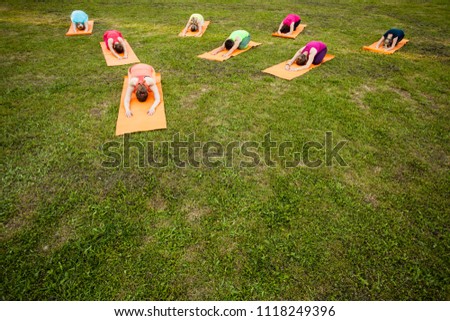 The group of yoga lovers