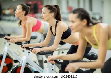 Group of young active women training on bikes in modern fitness center at leisure