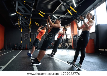 Group of young adult and sporty people training together in fitness center, making effort in exercise with trx equipment