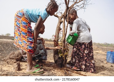 Group of young African girls trying to save a dying tree from drought