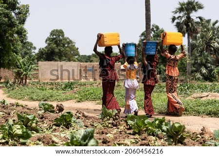 Group of young black West African girls carrying heavy water containers on their head; child labor concept