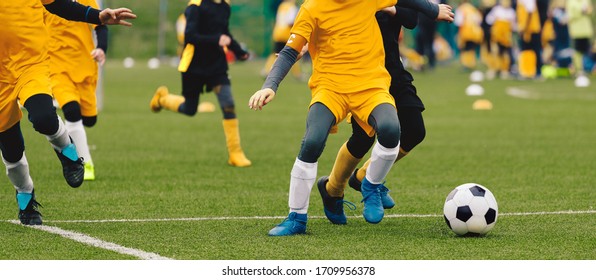 Group of Young Boys in Soccer Sportswear Running and Kicking Ball on the Soccer Grass Field. Low Angle Image of Youth Football Competition with Blurred Stadium Background - Powered by Shutterstock