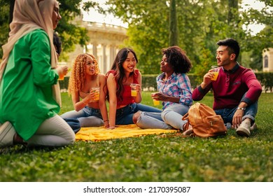 A Group Of Young Diverse People Are Gathered On The Park To Spend Some Quality Time With Friends As They're Sitting On The Grass