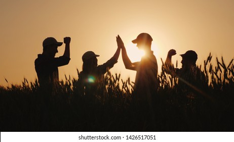 A group of young farmers makes the mark high five in a field of wheat. Success in agribusiness