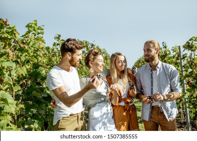 Group of a young friends tasting grapes on the vineyard, having fun while hanging out together at the winery on a sunny morning - Shutterstock ID 1507385555