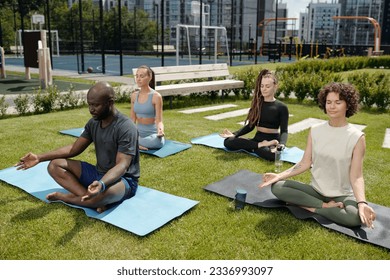 Group of young intercultural people in activewear sitting in pose of lotus on mats while practicing yoga on green lawn of sports ground - Powered by Shutterstock