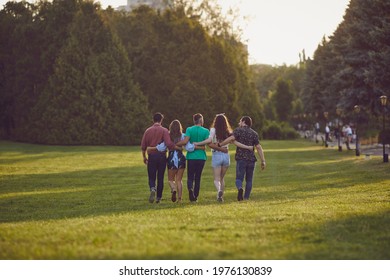 A group of young people are having fun hugging along the grass in a summer park. Back view.