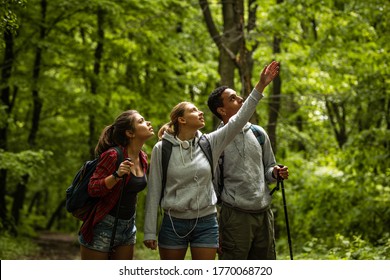 Group Of Young People Hiking Trough Forest.Outdoors Nature Concept.	
