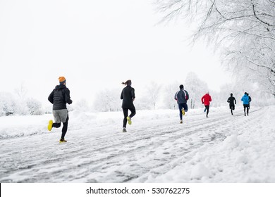 A Group Young People Running Together Snowy Trail In Winter Park. Rear View