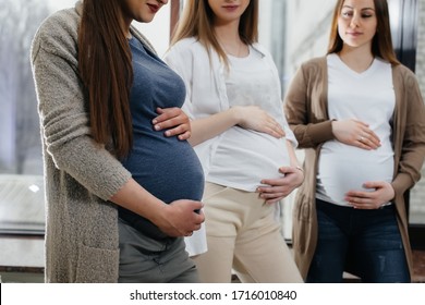 A Group Of Young Pregnant Girls Communicate In The Prenatal Class. Care And Consultation Of Pregnant Women