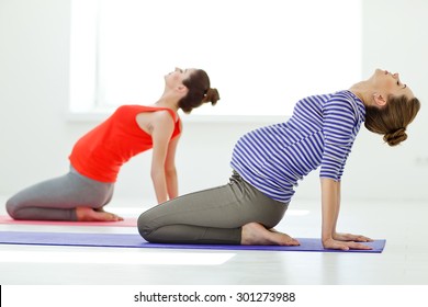 Group of young pregnant women doing relaxation exercise on exercising mat. series