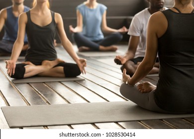 Group of young sporty people practicing yoga lesson with instructor, sitting in Sukhasana exercise, Easy Seat pose, working out, students training in sport club, studio close up, back view - Powered by Shutterstock