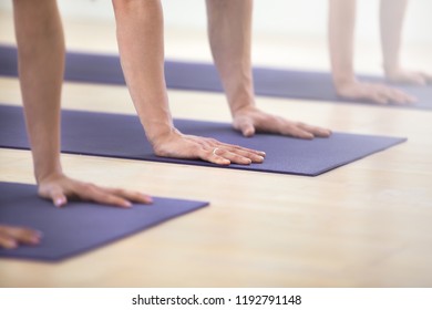 Group of young sporty people practicing yoga, doing Push ups or press ups exercise, phalankasana, Plank pose, working out, indoor, students training in club, studio, hand close up. Well-being concept - Shutterstock ID 1192791148