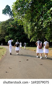 A Group Of Young Sri Lankan School Children Walking In The Botanical Garden In Kandy, Sri Lanka. School Kids On A Tour With Friends And Everyone Is Wearing A Traditional White Uniform.