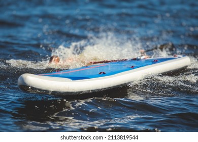 Group Of Young Sup Surfers Fall From SUP Stand Up Paddle Board, Women Drowning, Concept Of Fail Solving Problems, Team Work And Survival, Boat Accident During Stand Up Paddling, Standup Paddleboarding