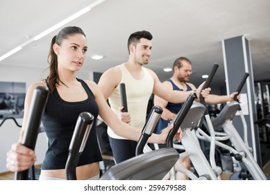 Group Young Woman Men On Elliptical Stock Photo 259679588 | Shutterstock