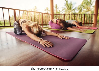 Group Of Young Women Doing Stretching Workout On Fitness Mat. Women At Yoga Class Bending Forward On Their Yoga Mats. Fitness People Doing Child Pose, Balasana.