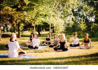 Group of young women are meditating in park on summer sunny morning under guidance of instructor. Group of girl outdoors are sitting in lotus pose on yoga mats on green grass with eyes closed - Powered by Shutterstock