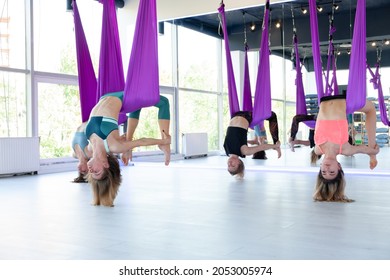 Group of young women practice in aero stretching swing. Aerial flying yoga exercises practice in purple hammock in fitness club
