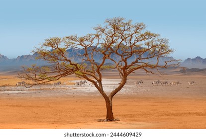 Group of Zebras running across the African savannah - Typical African lone acacia tree with blue sky - Etosha National Park, Namibia, Africa - Powered by Shutterstock