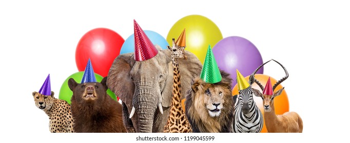 Group Of Zoo Animals Together Wearing Birthday Party Hats With Colorful Balloons. Web Banner Or Social Media Cover With Room For Text In White Space.