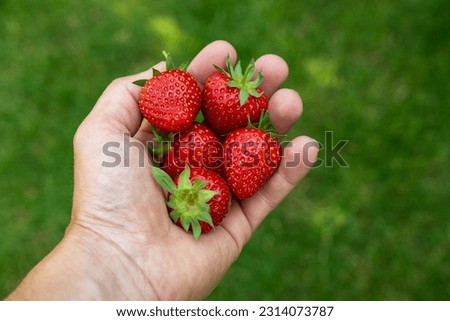 Image, Stock Photo strawberry season Food