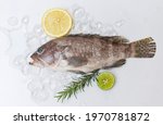 Grouper fish on ice with rosemary lemon, Fresh raw seafood fish for cooked food 