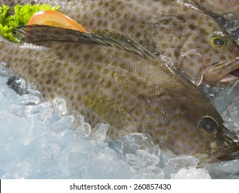 Grouper Fish On Top Of Ice