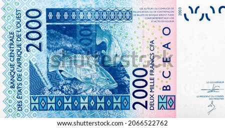 Groupers (fish). Portrait from Western African States 2000 Francs 2003 Banknotes. CFA franc is used in 14 African countries. 
