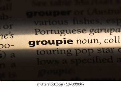 groupie word in a dictionary. groupie concept