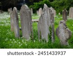 Grouping of aging headstones in cemetary