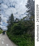 Grouse Mountain, Vancouver, July 2023