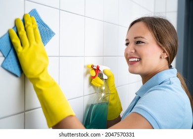 Grout Tile Cleaning. Cleaning Wall With Wipe