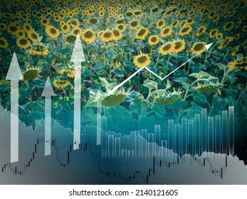 300 Sunflower diagram Images, Stock Photos & Vectors | Shutterstock