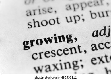 Growing - Shutterstock ID 495538111