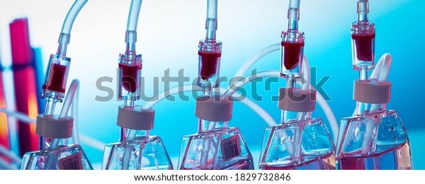 Growing
biological culture, bottles the laboratory
shaker